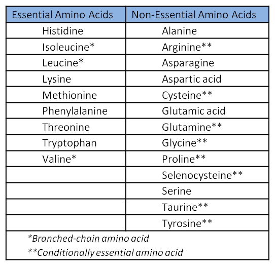 Есенцијални амино киселини